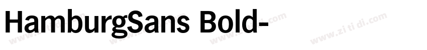 HamburgSans Bold字体转换